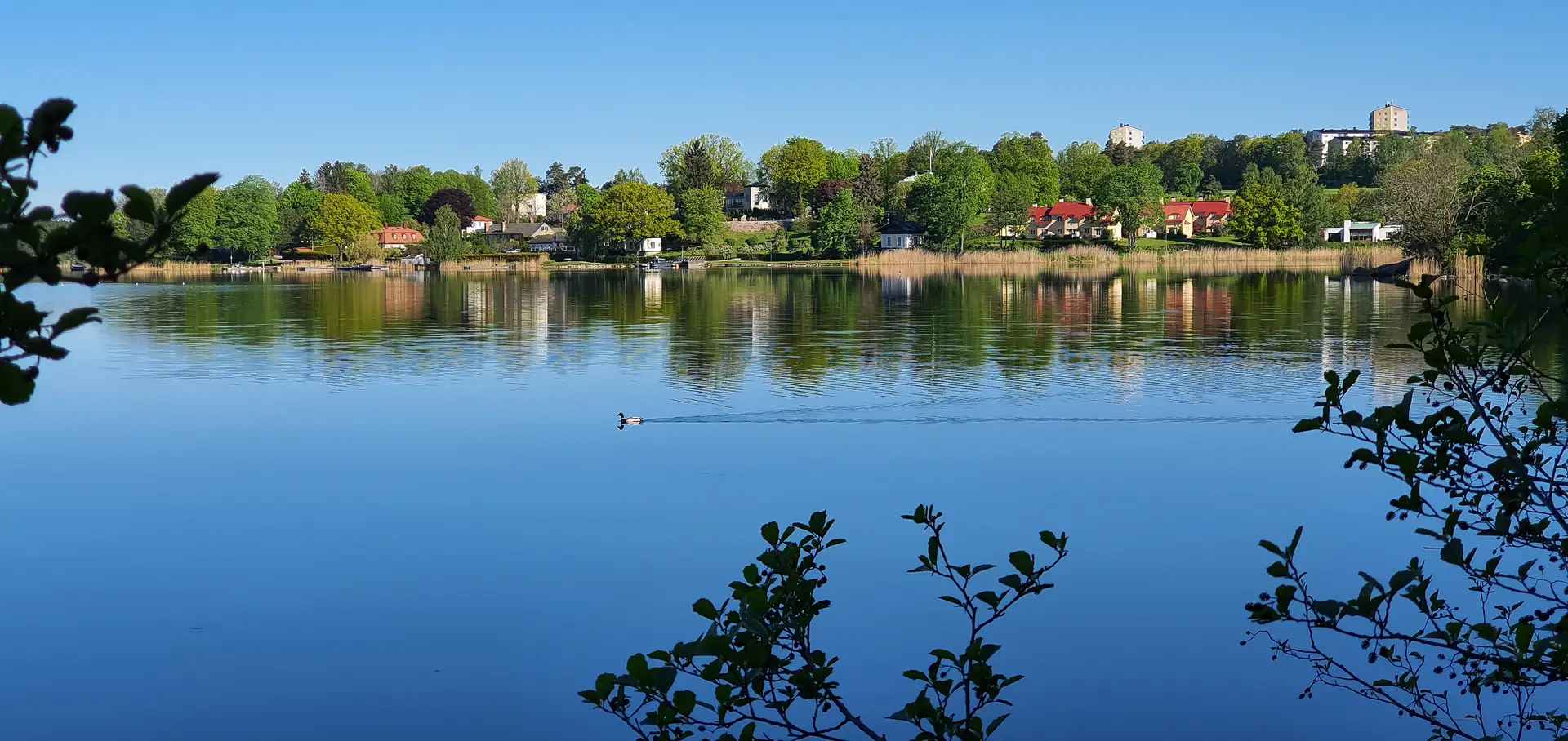 Radonsanering i Täby när värdet ligger för högt